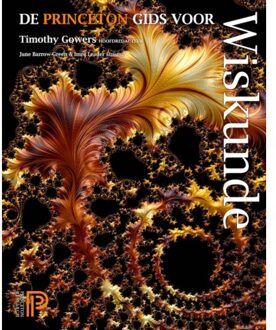 De Princeton Gids Voor Wiskunde