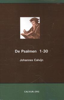 De Psalmen 1-30 - Boek Johannes Calvijn (9057191741)