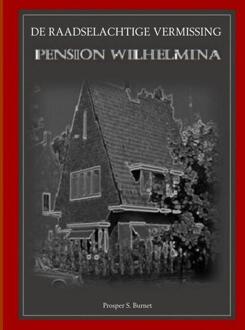 De Raadselachtige Vermissing