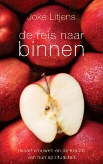 De reis naar binnen - Boek Joke Litjens (9025961347)