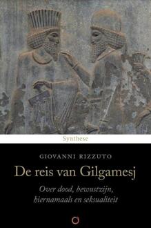 De reis van Gilgamesj -  Giovanni Rizzuto (ISBN: 9789062711826)