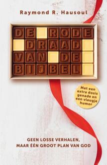 De rode draad van de Bijbel -  Raymond R. Hausoul (ISBN: 9789059993044)