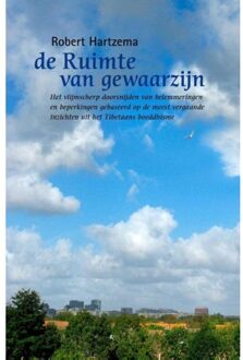 De ruimte van gewaarzijn - Boek Robert Hartzema (9063501013)