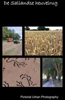 De Sallandse heuvelrug -  Marten Boven Marten Boven (ISBN: 9789403733050)