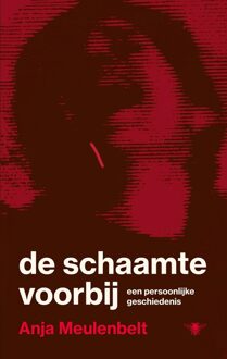 De schaamte voorbij - Anja Meulenbelt - ebook