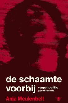 De schaamte voorbij -  Anja Meulenbelt (ISBN: 9789403135168)