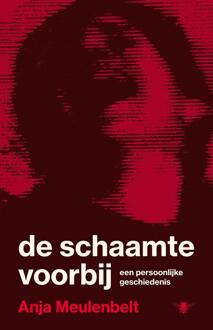 De schaamte voorbij -  Anja Meulenbelt (ISBN: 9789403137322)