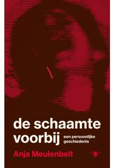 De Schaamte Voorbij - Anja Meulenbelt