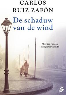 De schaduw van de wind - eBook Carlos Ruiz Zafon (9044970038)