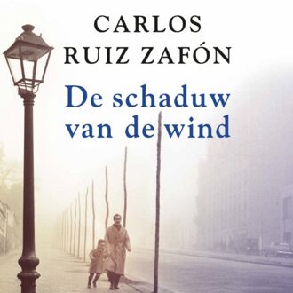 De schaduw van de wind