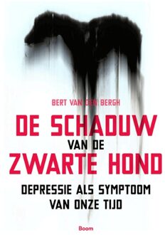 De schaduw van de zwarte hond