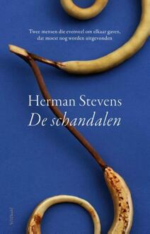 De schandalen -  Herman Stevens (ISBN: 9789044648188)