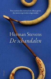 De schandalen -  Herman Stevens (ISBN: 9789044648195)