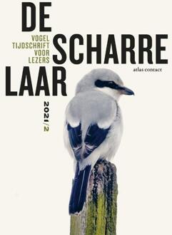 De scharrelaar - (ISBN:9789045045344)