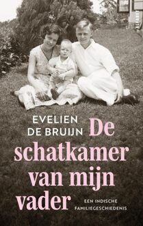 De schatkamer van mijn vader - Evelien de Bruijn - ebook