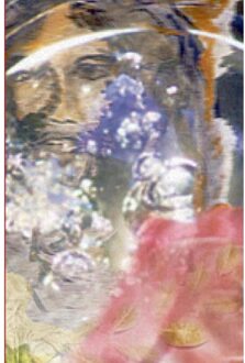 De schepping - Boek Johan Vandevelde (9461933282)