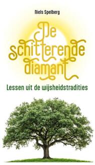 De schitterende diamant -  Niels Spelberg (ISBN: 9789090408446)