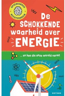De Schokkende Waarheid Over Energie - Spoedcursus Meesterbrein - Mike Goldsmith