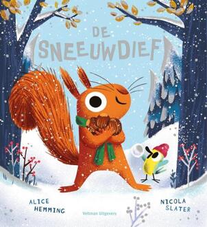 De sneeuwdief -  Alice Hemming (ISBN: 9789048321827)
