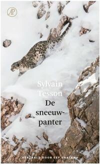 De sneeuwpanter