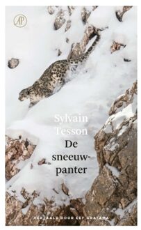 De sneeuwpanter