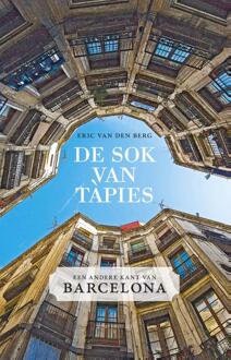 De sok van Tapies - Boek Eric van den Berg (9045018276)