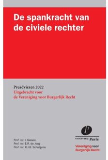 De Spankracht Van De Civiele Rechter - Preadviezen Vereniging Voor Burgerlijk Recht - Ivo Giesen