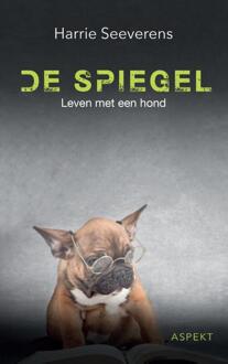 De Spiegel - Boek Harrie Seeverens (9463381619)