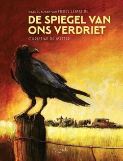 De spiegel van ons verdriet -  Pierre Lemaitre (ISBN: 9789493166936)