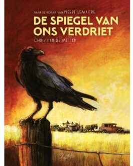 De Spiegel Van Ons Verdriet - Pierre Lemaitre