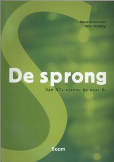 De sprong - Boek Maud Beersmans (9461052871)