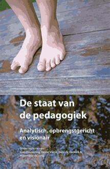 De staat van de pedagogiek - Boek Willemieke de Jong (9088506981)