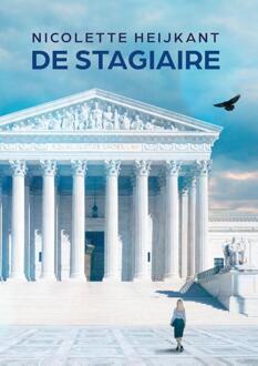 De Stagiaire - Nicolette Heijkant