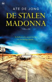 De stalen Madonna - Boek Ate de Jong (9044354310)