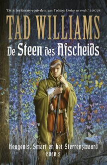 De steen des afscheids - eBook Tad Williams (9021018861)