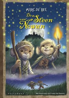 De steen van Nowan - Boek Marc De Bel (9461313926)