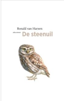 De steenuil - (ISBN:9789045039855)