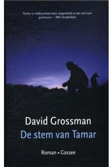 De stem van Tamar - Boek David Grossman (9059366840)