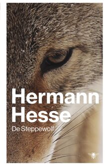 De steppewolf - eBook Hermann Hesse (9023476646)