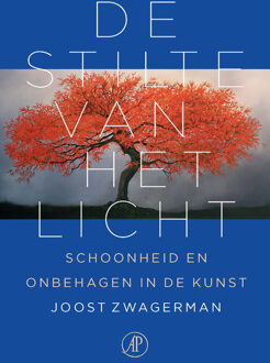 De stilte van het licht - Boek Joost Zwagerman (9029589884)