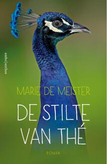 De stilte van Thé - Boek Marie de Meister (9026339879)