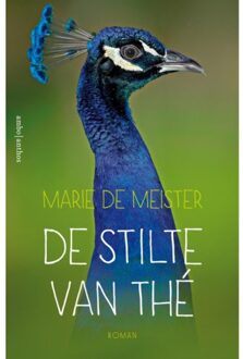 De stilte van Thé - Boek Marie de Meister (9026339879)