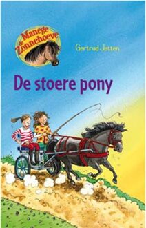 De stoere pony - Boek Gertrud Jetten (9020662848)