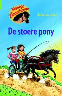 De stoere pony - Boek Gertrud Jetten (9020662848)