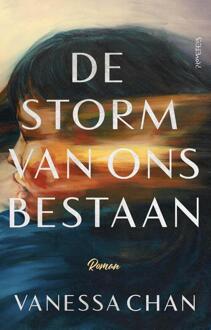 De storm van ons bestaan -  Vanessa Chan (ISBN: 9789044651584)