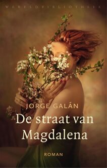 De straat van Magdalena - eBook Jorge Galán (9028441565)