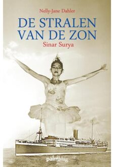 De stralen van de zon - Boek Nelly-Jane Dahler (949177316X)