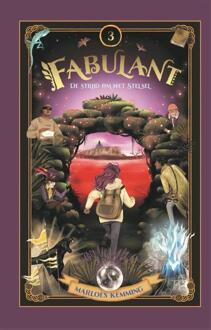 De strijd om het Stelsel -  Marloes Kemming (ISBN: 9789048870936)