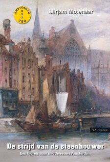 De strijd van de steenhouwer -  Mirjam Molenaar (ISBN: 9789464935127)