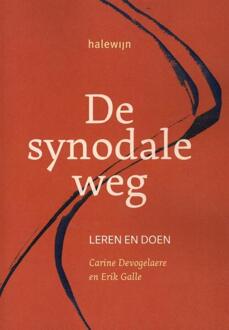 De synodale weg -   (ISBN: 9789085286394)